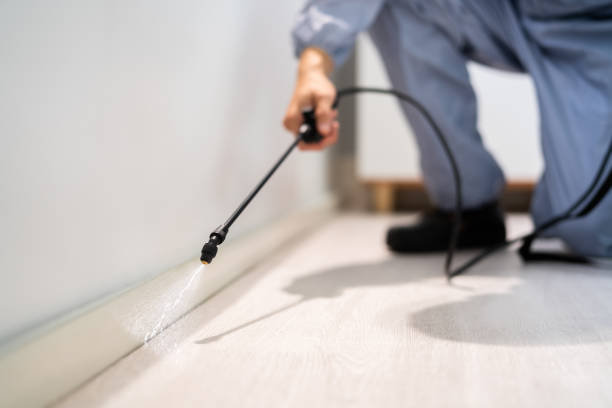 Best Residential Pest Control  in Morrisville, VT