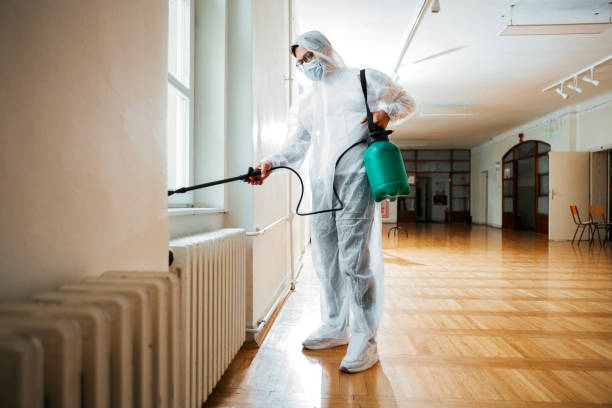 Best Exterminator Services  in Morrisville, VT